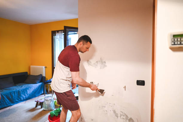 Best Commercial Mold Removal  in Augusta, KY